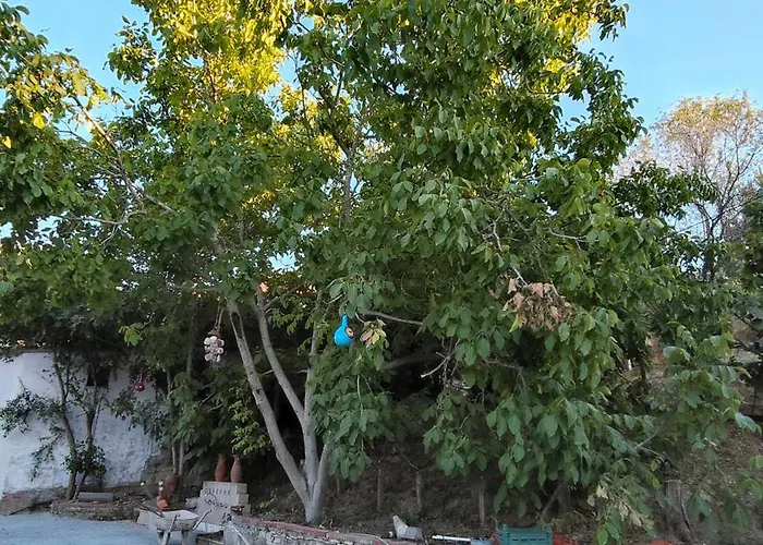 Villa Kusadasi'nda Oezel Havuzlu Kiralik Bueyuek