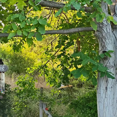 Вилла Kusadasi'nda Oezel Havuzlu Kiralik Bueyuek *