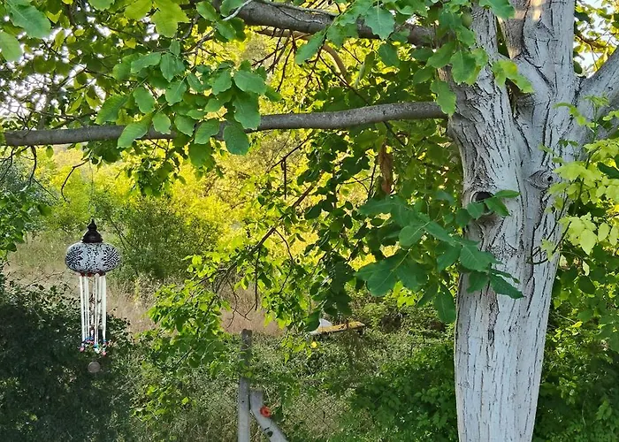 Villa Kusadasi'nda Oezel Havuzlu Kiralik Bueyuek *