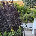 Kusadasi'nda Oezel Havuzlu Kiralik Bueyuek Kusadasi