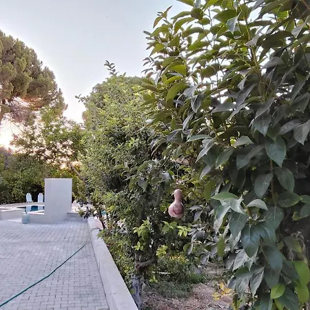 Kusadasi'nda Oezel Havuzlu Kiralik Bueyuek Vila *