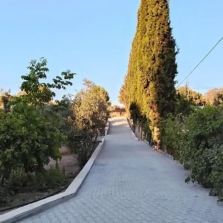 Kusadasi'nda Oezel Havuzlu Kiralik Bueyuek *