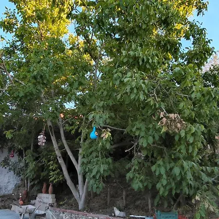 Villa Kuşadası'nda özel Havuzlu Kiralık Büyük