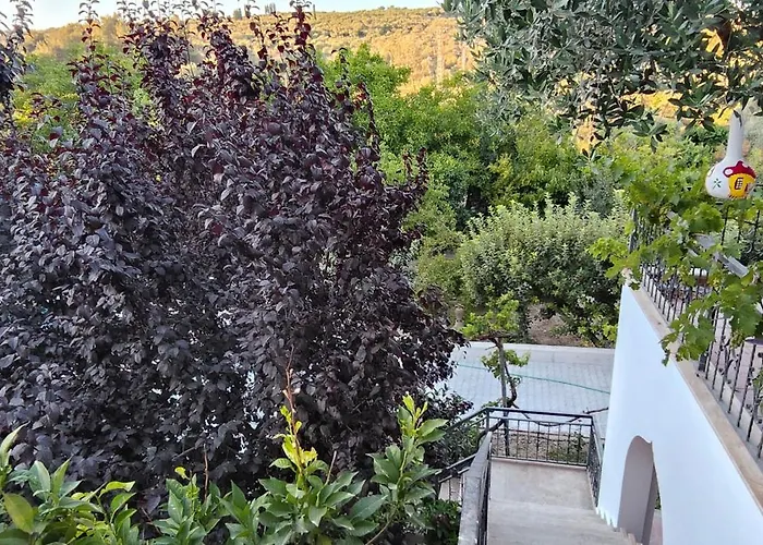 Kusadasi'nda Oezel Havuzlu Kiralik Bueyuek 쿠사다시